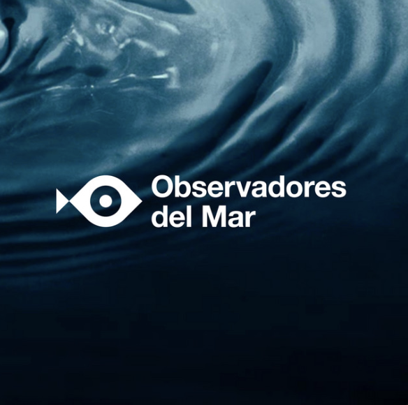 Ep. 31 Observadores del Mar – Bosques submarinos