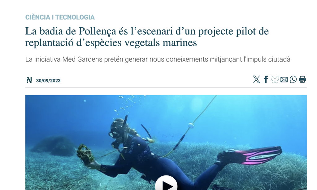 Badia de Pollença – IB3 Notícies (video)