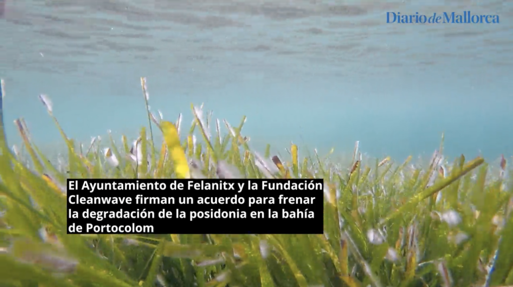 Proyecto RESHABAY – Diario de Mallorca