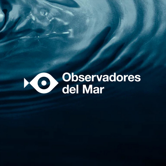Ep. 37 Observadores del Mar – Brown algae: Cystoseiras